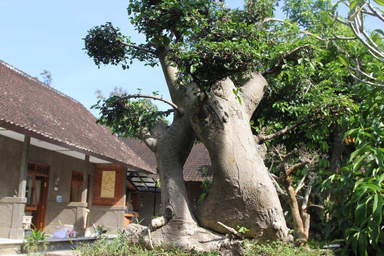 Hotel Jerogadung House Ubud Esterno foto